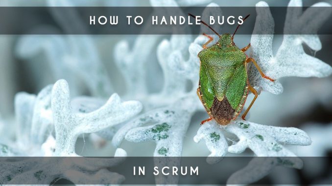bugs in scrum