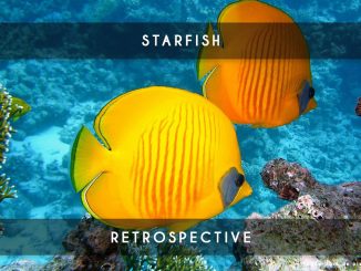 starfish retrospective